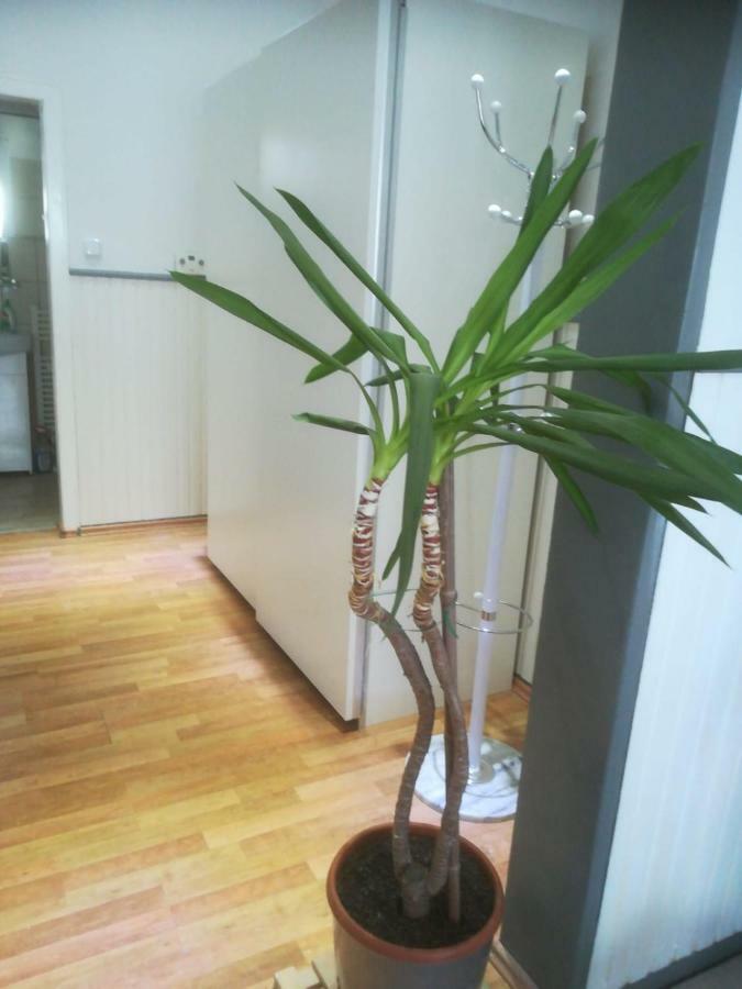 Zentral Gelegene Wohnung In Velbert-Mitte Bagian luar foto